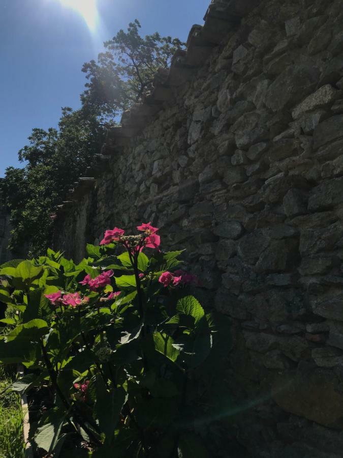 Chateau Pont Jarno B&B Champdeniers Eksteriør bilde